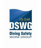 safety-dswg-logo-1